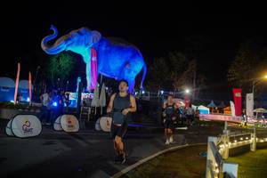 BIB: 
                            <button type="button" onclick="openModal(26552406)" class="btn btn-primary btn-sm float-right btn-popup" data-toggle="modal" data-target=".modal-high-quality">
                        <i class="fas fa-shopping-cart"></i> Add to Cart
                    </button>
                                            <button type="button" onclick="isThisMe(26552406, true)" class="btn btn-success btn-sm float-right btn-popup btn-isme hidden" data-toggle="tooltip" data-placement="bottom" title="นี่คือรูปของคุณใช่ไหม คลิกที่นี่เพื่อเอาเข้าอัลบั้ม">
                        <i class="fas fa-plus"></i> Add to album
                    </button>
                    <button type="button" onclick="isThisMe(26552406, false)" class="btn btn-warning btn-sm float-right btn-popup btn-isnotme hidden">
                        <i class="fas fa-ban"></i> Remove from album
                    </button>